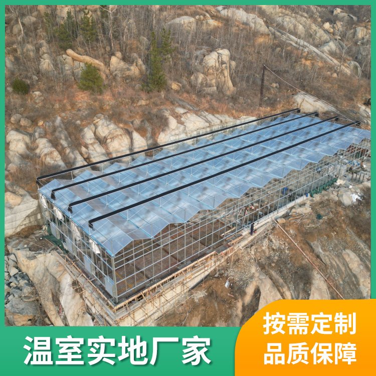 温室大棚工程造价与投资管理咨询全解析